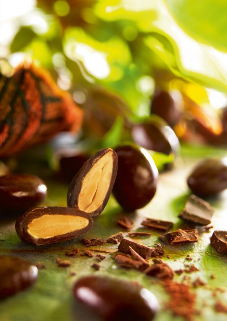 Chocolat aux Calissons de Provence - François Doucet - Comptoir des Arômes
